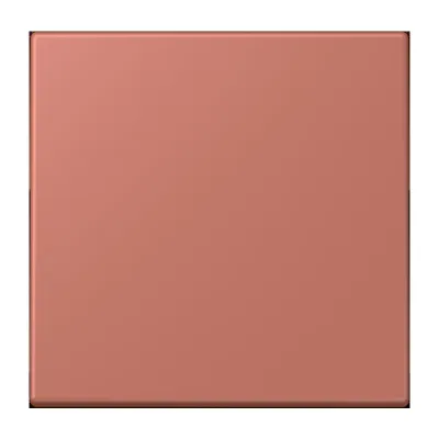 JUNG Wippe 1-fach LC990236 | Schalter/Taster | Duroplast matt | Klemmbefestigung | 70x70 mm | terre sienne brique