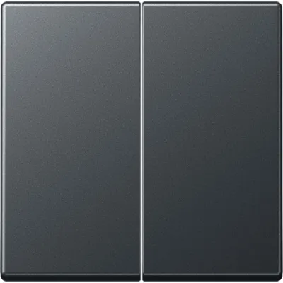JUNG Wippe für Serienschalter A595BFANM | 2-fach | bruchsicher | Thermoplast | Serie A | IP44 | anthrazit matt