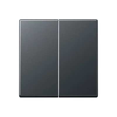 JUNG Wippe für Serienschalter A595BFANM | 2-fach | bruchsicher | Thermoplast | Serie A | IP44 | anthrazit matt
