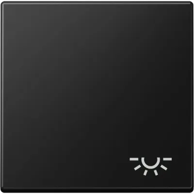 JUNG Wippe A 590 L SWM für Schalter/Taster | Symbol Licht | 1fach | Duroplast | matt | IP44 | graphitschwarz