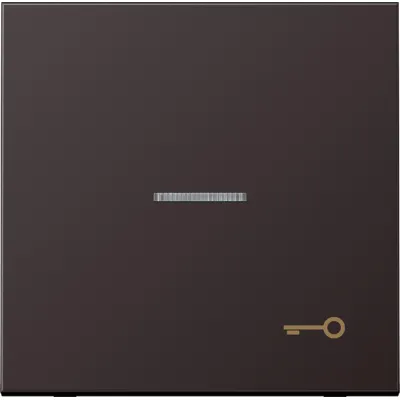 JUNG Wippe AL2990KO5TD | Kontrollwippe Schalter/Taster | Symbol Tür | Aluminium matt | 70x70mm | dark