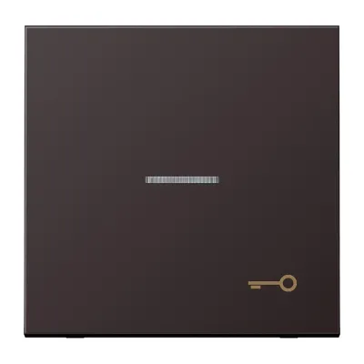 JUNG Wippe AL2990KO5TD | Kontrollwippe Schalter/Taster | Symbol Tür | Aluminium matt | 70x70mm | dark