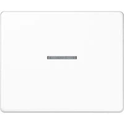 JUNG Wippe für Schalter/Taster SL590KO5WW | Kontrollwippe mit Lichtleiter | Aluminium lackiert | 70x57 mm | alpinweiß