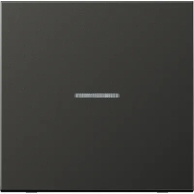 JUNG Wippe für Kontrollschalter AL2990KO5AN | Aluminium | anthrazit | Lichtleiter | IP44 | matt | ohne Aufdruck