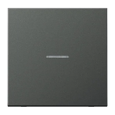 JUNG Wippe für Kontrollschalter AL2990KO5AN | Aluminium | anthrazit | Lichtleiter | IP44 | matt | ohne Aufdruck