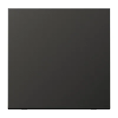 JUNG Wippe AL2990AN | Schalter/Taster | Aluminium matt lackiert | anthrazit | einteilig | IP44 | LS Serie