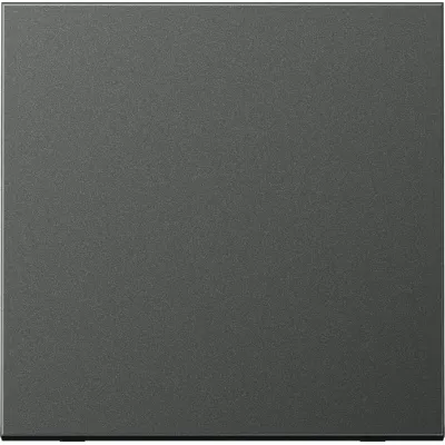 JUNG Wippe AL2990AN | Schalter/Taster | Aluminium matt lackiert | anthrazit | einteilig | IP44 | LS Serie