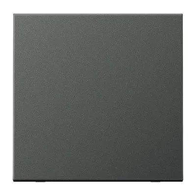 JUNG Wippe AL2990AN | Schalter/Taster | Aluminium matt lackiert | anthrazit | einteilig | IP44 | LS Serie