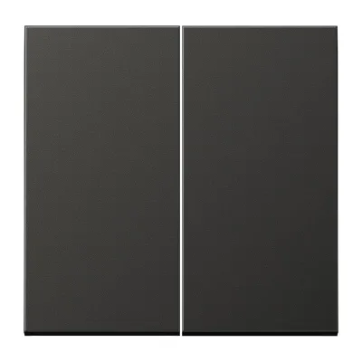 JUNG Wippe AL2995AN für Serienschalter | Aluminium matt | 2-teilig | Anthrazit | IP44 | LS-Serie