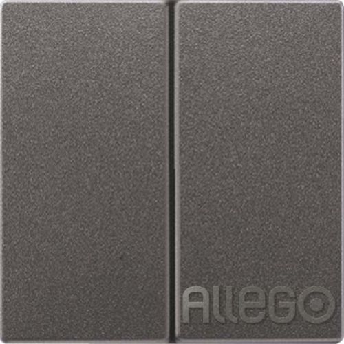 Bild: Jung Wippe anth für Taster AL 2995 AN