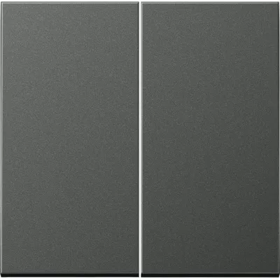 JUNG Wippe AL2995AN für Serienschalter | Aluminium matt | 2-teilig | Anthrazit | IP44 | LS-Serie