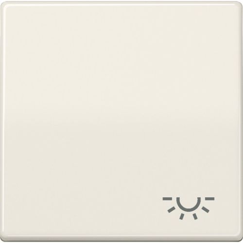 Bild: JUNG Wippe AS591L mit Symbol Licht