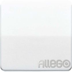 Jung Wippe aws für Schalter/Taster CD 590 BF WW
