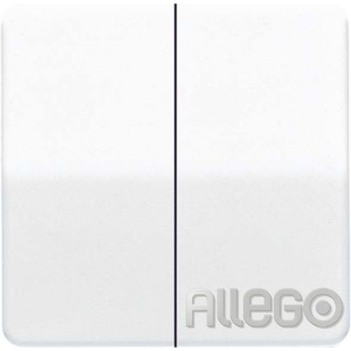 Bild: Jung Wippe aws für Schalter/Taster CD 595 BF WW