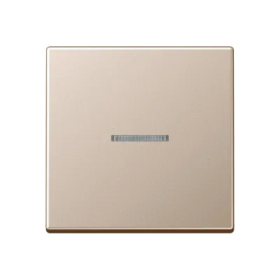 JUNG Wippe A590KO5CH für Kontrollschalter/Taster | Lichtleiter | Duroplast glänzend | IP44 | champagner