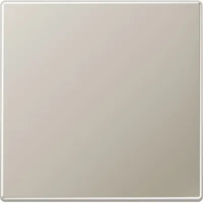 JUNG Wippe für Schalter/Taster ES2990 Edelstahl | 1-fach | matt | Klemmbefestigung | IP44 | Metall | Farbe: Edelstahl