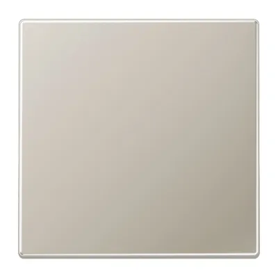 JUNG Wippe für Schalter/Taster ES2990 Edelstahl | 1-fach | matt | Klemmbefestigung | IP44 | Metall | Farbe: Edelstahl
