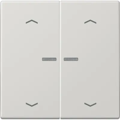 JUNG Wippe zweiteilig LS102KO5PLG für Jalousie-Serientaster | Pfeilsymbol | Lichtleiter | Duroplast | lichtgrau RAL 7035