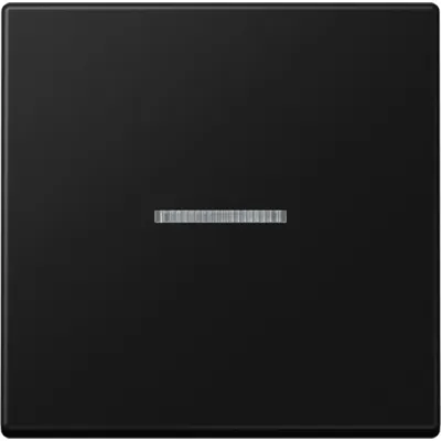 JUNG Wippe A590KO5SWM | Kontrollwippe für Schalter/Taster | Lichtauslass | Duroplast | matt | IP44 | graphitschwarz