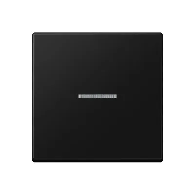 JUNG Wippe A590KO5SWM | Kontrollwippe für Schalter/Taster | Lichtauslass | Duroplast | matt | IP44 | graphitschwarz