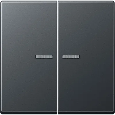 JUNG Wippe Serientaster A102KO5BFANM | 2fach Schalter | Lichtleiter | Thermoplast matt | 55x55 mm | anthrazit RAL 7016