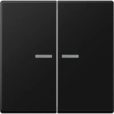 JUNG Wippe für Serientaster | A102KO5BFSWM | 2-fach Tasteraufsatz KNX | Thermoplast | 55x55mm | graphitschwarz matt