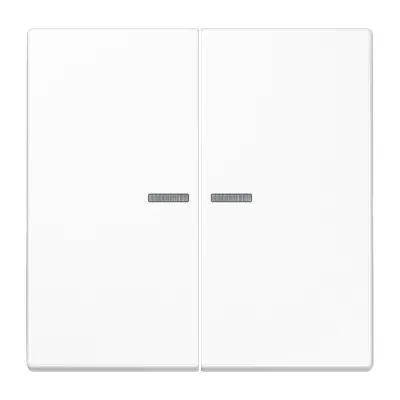 JUNG Wippe 2fach LS102KO5WW | für KNX Taster | Duroplast glänzend | Lichtleiter | 70x70mm | alpinweiß RAL 9016