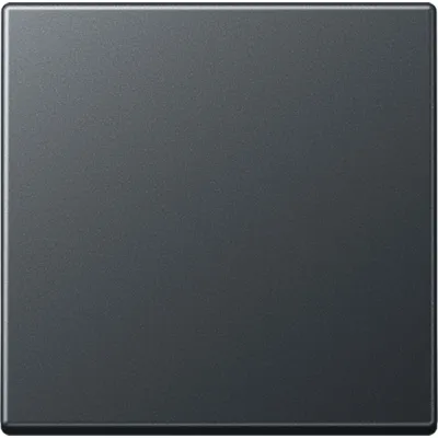 JUNG Wippe f.Taster A 101 BF ANM