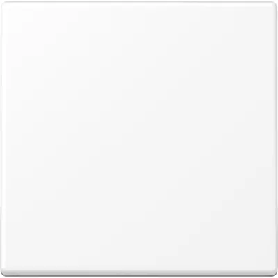 JUNG Wippe für Taster A101BFWWM | KNX 1fach Schalter | Thermoplast matt | 55x55 mm | schneeweiß RAL 9016