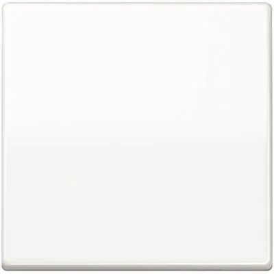JUNG Wippe für KNX Taster 1fach AS101WW | Duroplast glänzend | 55x55 mm | alpinweiß RAL 9016