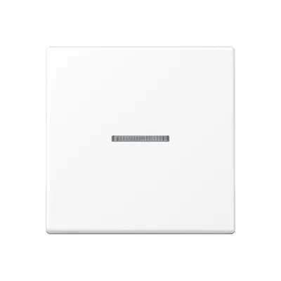 JUNG Wippe für Taster KO A101KO5BFWWM | Kontrollwippe KNX 1fach | Lichtleiter | Thermoplast matt | schneeweiß 55x55mm