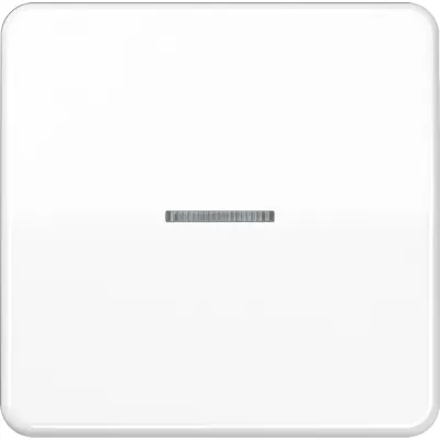 JUNG Wippe CD 101 KO5 WW für Taster | Kontrollwippe Schalter | 1-fach | Duroplast glänzend | 67x67 mm | alpinweiß