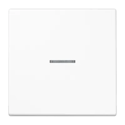 JUNG Wippe 1fach LS101KO5WW | Kontrollwippe mit Lichtleiter | Duroplast glänzend | 70x70mm | alpinweiß RAL 9016