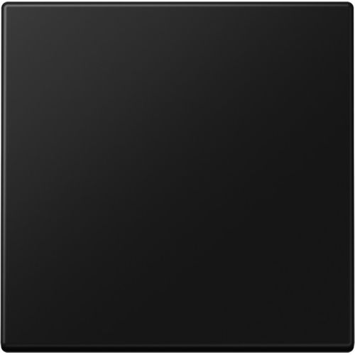 Bild: Jung Wippe f.Taster LS101SWM