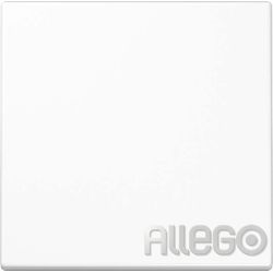 JUNG Wippe f.Taster LS101WW