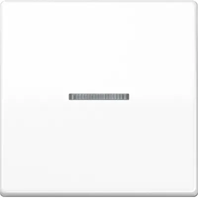 JUNG Wippe AS591KO5BFSWW | Kontrollschalter AS500 | Lichtleiter | bruchsicher | IP44 | alpinweiß