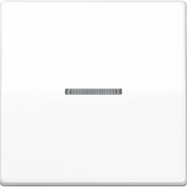 JUNG Wippe AS591KO5WW für Kontrollschalter/Taster | Lichtleiter | Duroplast glänzend | IP44 | Serie AS | alpinweiß