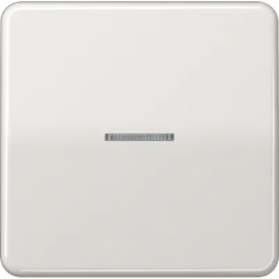 JUNG Wippe Kontrollschalter CD590KO5LG | Lichtleiter | beleuchtbar | Duroplast | IP44 | glänzend | lichtgrau