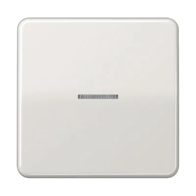 JUNG Wippe Kontrollschalter CD590KO5LG | Lichtleiter | beleuchtbar | Duroplast | IP44 | glänzend | lichtgrau