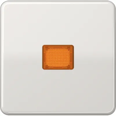 Jung Wippe Kontrollschalter CD590KOLG | Lichtfenster orange | Duroplast glänzend | IP44 | 67x67mm | lichtgrau RAL 7035