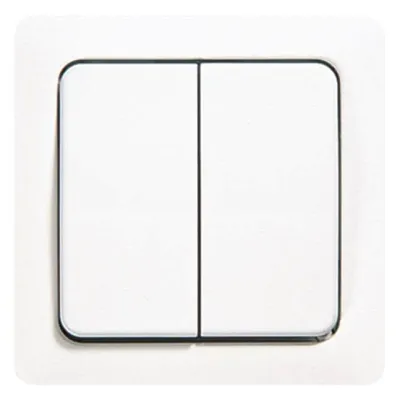 JUNG Wippe Zentralplatte 5561-5 | Serienschalter Abdeckung | Doppelwechselschalter | weiß