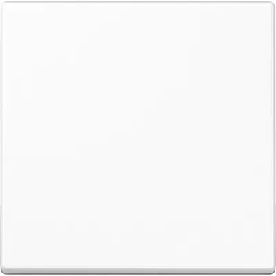 JUNG Wippe A590BFWW Schalter/Taster | bruchsicher | Thermoplast | glänzend | alpinweiß RAL 9010 | IP44