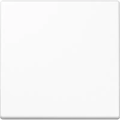 Jung Wippe A590WW | Schalter Taster Serie A | Duroplast glänzend | IP44 | 55x55 mm | alpinweiß RAL 9010