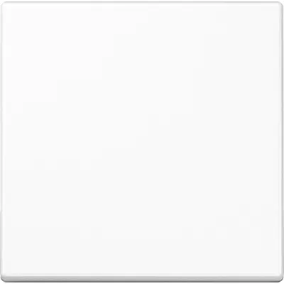 Jung Wippe A590WW | Schalter Taster Serie A | Duroplast glänzend | IP44 | 55x55 mm | alpinweiß RAL 9010