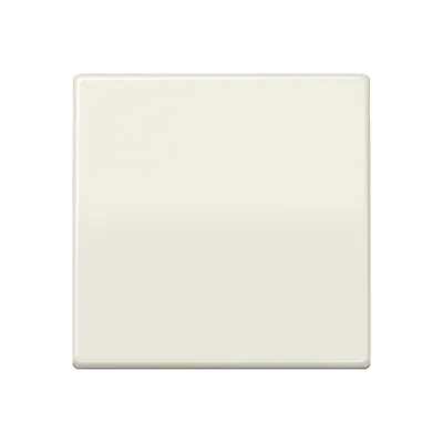 JUNG Wippe AS591 für Schalter/Taster | Zentralplatte | Duroplast glänzend | Bussystem-kompatibel | IP44 | weiß
