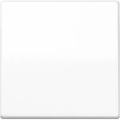 JUNG Wippe AS591BFWW | Schalter/Taster Serie AS500 | bruchsicher Thermoplast | glänzend | IP44 | alpinweiß