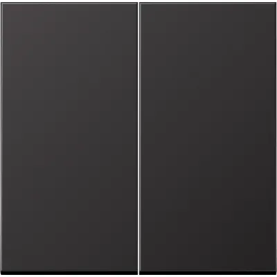 JUNG Wippe für Serienschalter AL2995D | Doppelwippe | Aluminium matt lackiert | zweiteilig | IP44 | dark