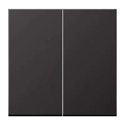 JUNG Wippe für Serienschalter AL2995D | Doppelwippe | Aluminium matt lackiert | zweiteilig | IP44 | dark