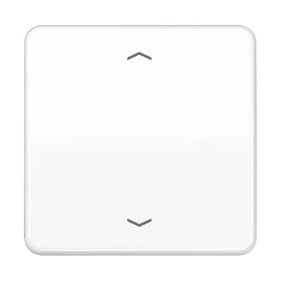 Jung Wippe für Taster BA 1-fach CD590PWW | Jalousie-Schalter | Symbol Pfeile | Duroplast | glänzend | alpinweiß