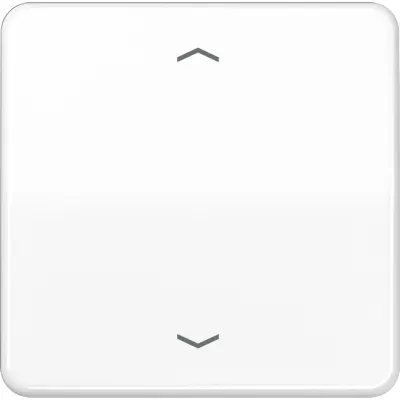 Jung Wippe für Taster BA 1-fach CD590PWW | Jalousie-Schalter | Symbol Pfeile | Duroplast | glänzend | alpinweiß